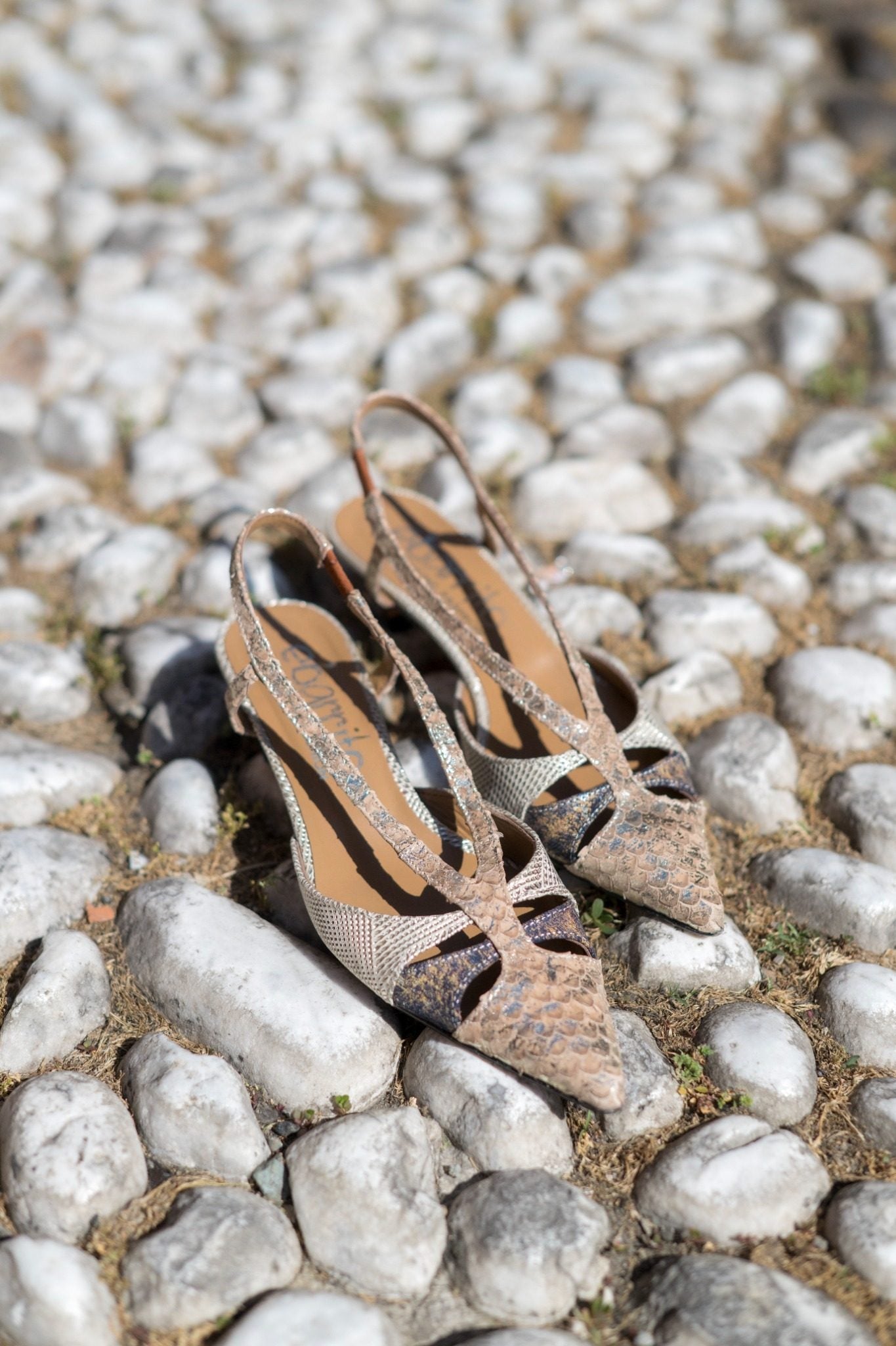 Scarpe