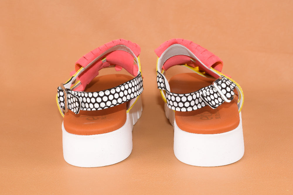 Corallo