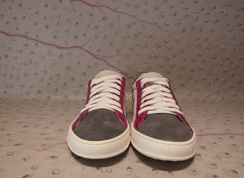 Fucsia